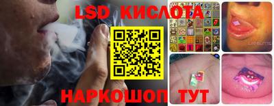 ECSTASY Гатчина