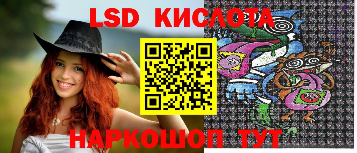 Наркотические марки 1500мкг  Наркотические марки 1500мкг  Выборг  Вход с VPN 