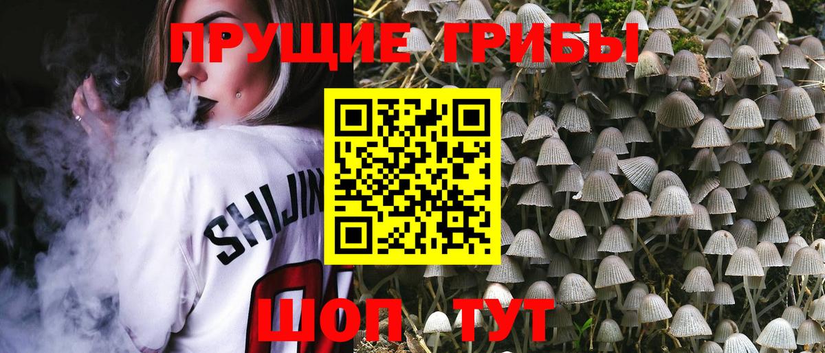 Псилоцибиновые грибы Magic Shrooms Выборг