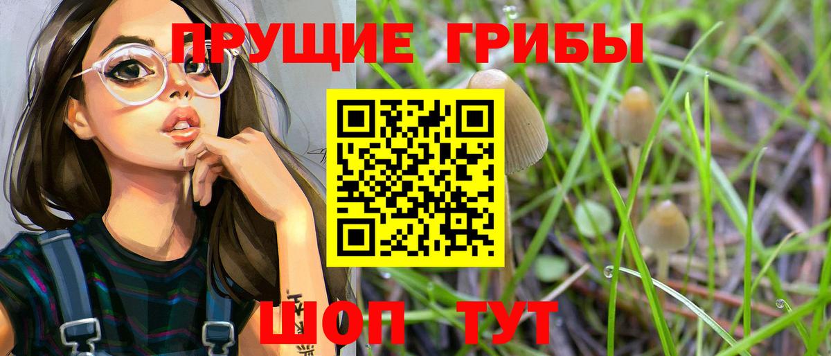 Выборг  Псилоцибиновые грибы прущие грибы  Псилоцибиновые грибы Magic Shrooms  Вход с VPN 